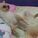 <b>상위</b> 1%에 투명한 공개구혼 ^_^~~