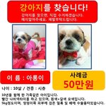 <b>방이동</b>쪽 사시는분들 눈여겨봐주세요~!!