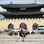 태권도의 <b>위엄</b> ㅋㅋㅋㅋ