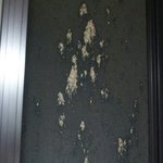 [사진有 쏠림주의]하늘에서 쏟아져내린 토사물 <b>테러</b>