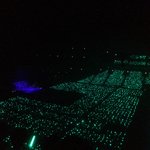 와<b>아레나</b>사람개많이왓구나..