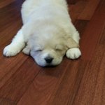 저희집혜성이보러와요!!똘망똘망귀요미들ㅋㅋ