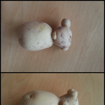 곰탱이 맞나요?