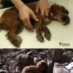 <b>소망</b>이를 아시나요?