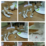 새로산 선풍기 <b>힐링</b>중