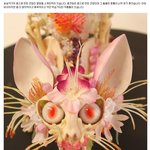 꽃으로 만든 <b>몬스터</b>