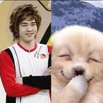 <b>강인</b>이가 눈웃음하면 죽이지