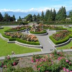 [LIFE]캐나다- 5년 연속 세계대학 40위권! 캐나다 명<b>문대</b> UBC 탐방기! 