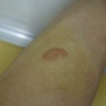 어느 블랙컨슈머 역관광