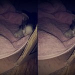 키우고싶어요!ㅠ