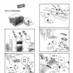 사람들이 강아지보다 고양이를 더 키우는 이유