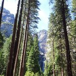 [<b>LIFE</b>]미국-레알, 힐링캠프는 이곳에서! 요세미티 국립공원 