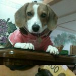 <b>남여</b>꼭보셔야될1가지...