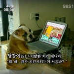 웃긴<b>개사진</b> - 치킨시키는개 ㅋㅋㅋㅋㅋㅋ