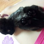 집사님들 도움이 필요함..