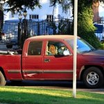 <b>로버트</b> 패틴슨과 새로운 열애설이 난 여배우