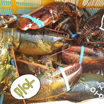 못말리는 오드리, <b>랍스타</b>와 만나다.