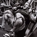 근육<b>몬스터</b>,제이커틀러