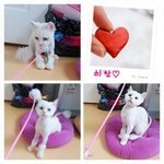 하얀 <b>천사</b>들이 엄마를 기다려요