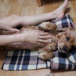 내가 해줄수 있는게 이것밖에..코카 <b>입양</b>
