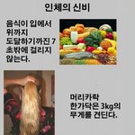 <b>인체</b>의 신비 한번씩들 보세요