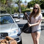 개랑 <b>산책</b>하는 아만다 사이프리드