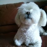 우리집막둥이4살뽕이