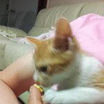 유자,카노,주니어 일생일대기3