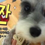 자가(self) 미용 대성공 ㅋㅋㅋ