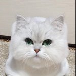 너는 내 운명 - 꽃보다 루나씨 (적응기편) ♬