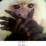 사진有)글쓴이가 겪은 기묘한 이야기 8