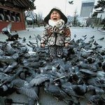 소개팅갔다가 좀비 비둘기한테 집단구타 ㅋㅋㅋㅋ