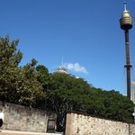 시드니 여행정보. 여기만큼은 꼭!!가보자~