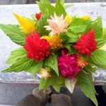 대순진리회 - 대순문예 가작