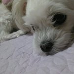 <b>단추</b>너란여자..사랑스럽다
