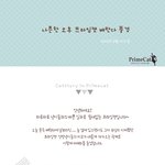 <b>나른</b>한 오후 베란다 냥이들