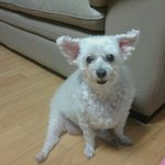 아픈 새롬이 돌려주세요