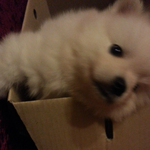 우리웅자도 귀엽개 한번보개