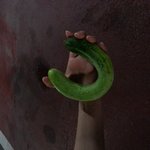 허리휜 <b>오이</b>