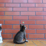 <b>머지</b>? 판이 왜 이래 ?