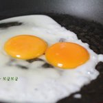 <b>보리</b>색 냐옹이 <b>보리</b> 포토툰