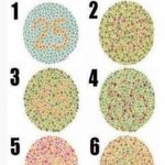 <b>색약</b> 테스트