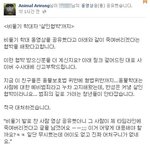 필독! 반성없는 비둘기 학대범 고발합니다!