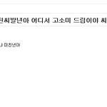 수지 고소후 일베충의 <b>만행</b>