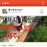 <b>카스</b> 중2병 환자들 참많네