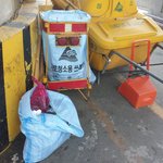 충격.<b>심신</b>노약자주의]태어나자말자봉지에쌓여버려진고양이들