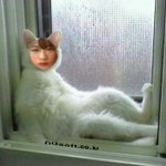 욕먹는것도은근.....