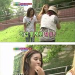 펌) 귀여운 사차원 컨셉<b>잡다</b> 망함