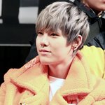 [BAP] 병아리 같은 막내 <b>젤로</b>