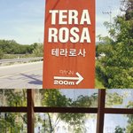 [<b>강원</b>/강릉] 테라로사